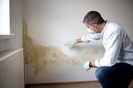 Best Forensic Mold Investigation  in USA